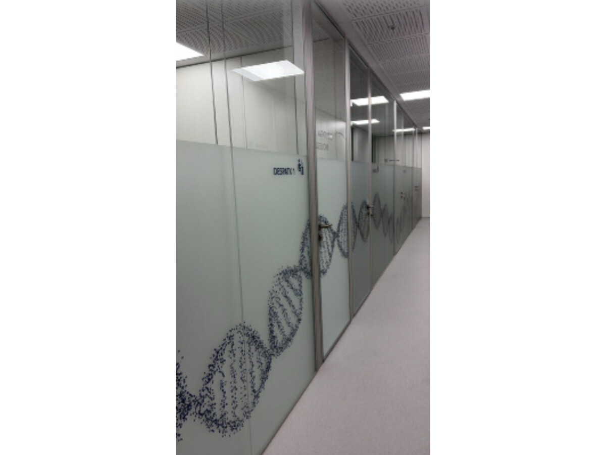 Vinils de la doble hèlix d'ADN a l'àrea de Biologia Molecular